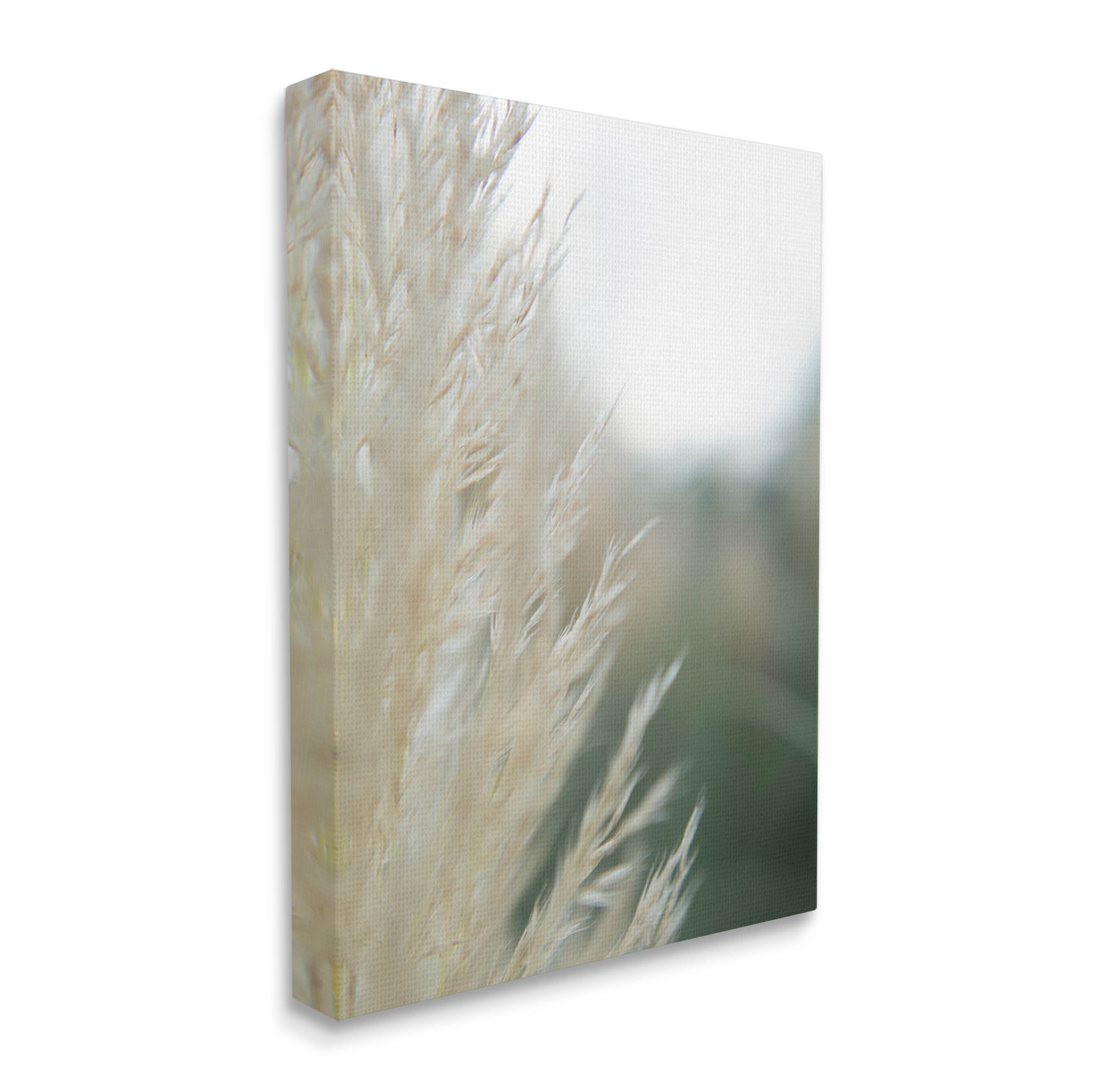 Stupell Industries Close Up Country Pampas Grass Photograph Gallery Wrapped Canvas Print Wall Art, Design by Jason Johnson