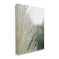 thumbnail image 3 of Stupell Industries Close Up Country Pampas Grass Photograph Gallery Wrapped Canvas Print Wall Art, Design by Jason Johnson, 3 of 7