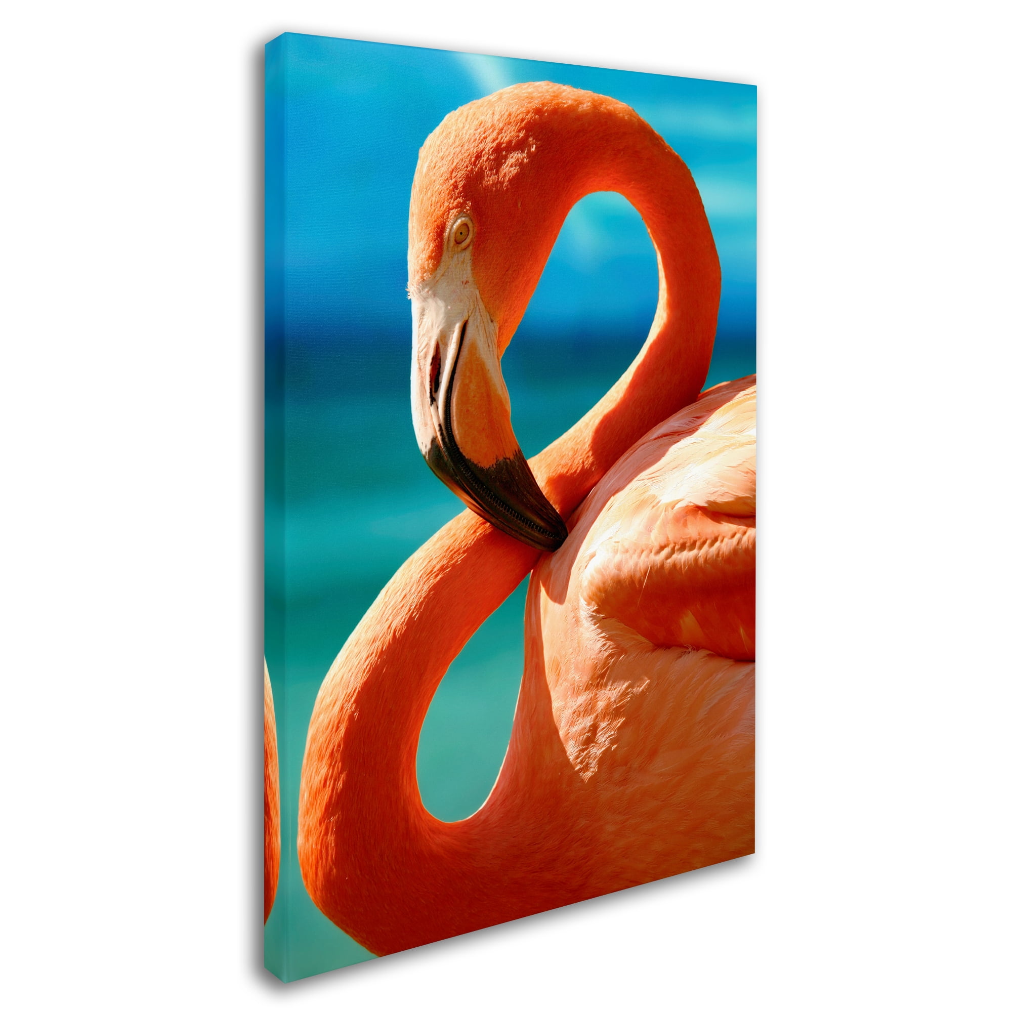 Trademark Fine Art 'Flamingo S' Canvas Art by Mike Jones Photo