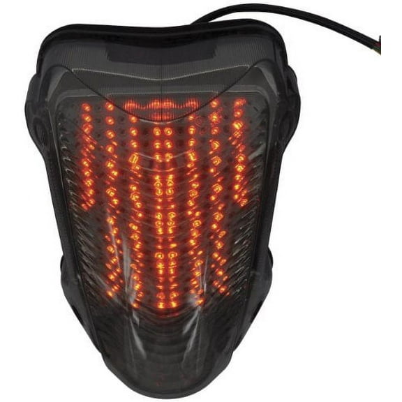 BikeMaster 02-09 Yamaha XV1700 Road Star Warrior Integrated Tail Light