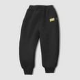 thumbnail image 2 of Tanhomme Boys Girls Athletic Fleece Lined Sweatpants Winter Warm Jogger Pants Children Sports Pants Boys Girls Baby Velvet Plush Trousers Autumn Winter Outerwear Casual Sweatpants, 2 of 4