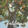 thumbnail image 2 of Prime, Marcus 15x15 Gold Ornate Wood Framed with Double Matting Museum Art Print Titled - California Orange 1, 2 of 4