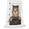 thumbnail image 2 of Vsdgher Cat Holding Mugshot Sign Ultra-Soft Micro flannel Blanket Throw Blankets for Couch Sofa, Bed (4 sizes)-40"x30", 2 of 7