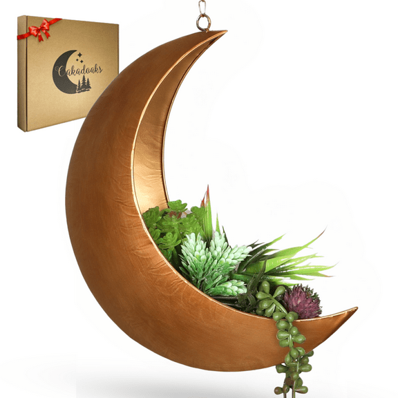 Oakadoaks Hanging Moon Planter for Moon Room Decor Great for Succulents,Air Plant,Mini Cactus,Faux,Artificial Plants-12” Boho Rustic Metal Planters,Gifts for Women,Birthdays,Nursery