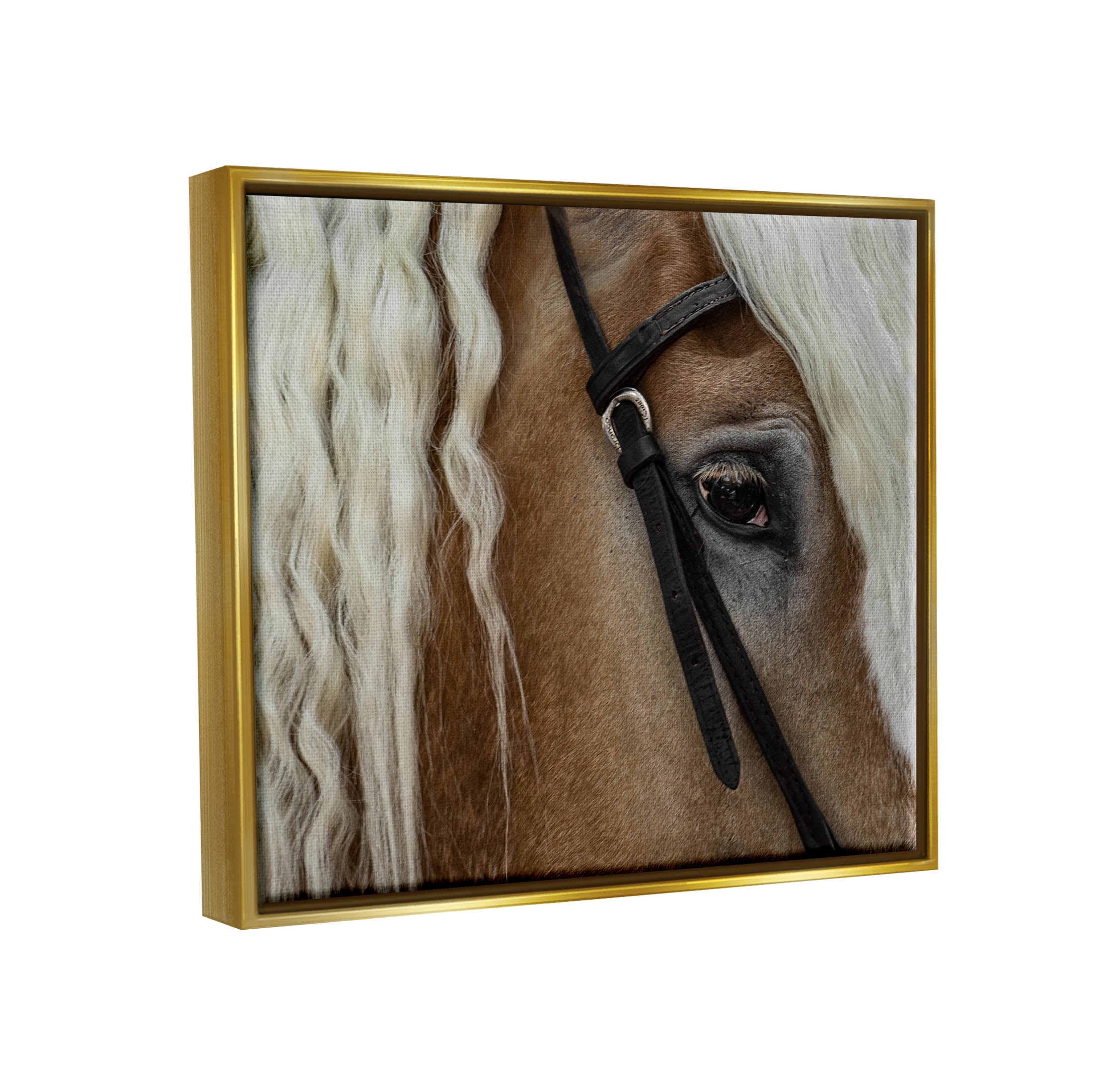 Stupell Industries Blonde Palomino Horse Portrait Photograph Metallic Gold Floating Framed Canvas Print Wall Art, Design by David Lorenz
