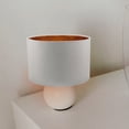 thumbnail image 1 of QUMIIRITY replacement lamp shade Lampshade Iron White 1Pack for Family, 1 of 7