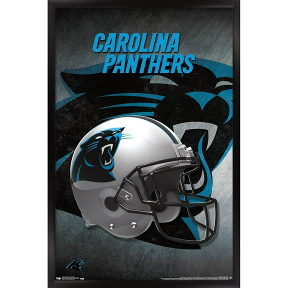 Carolina Panthers 24.25'' x 35.75'' Framed Team Helmet Poster