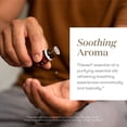 thumbnail image 3 of Mezcla de aceites esenciales Young Living Thieves, 5 ml, con limón y clavo, 3 of 7