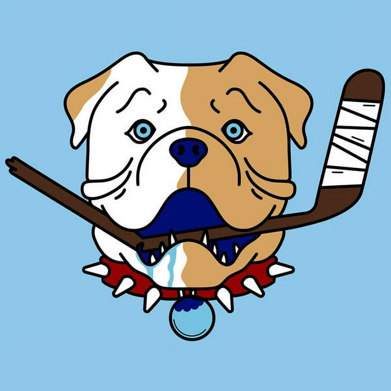 Stitched Shoresy Sudbury Blueberry Bulldogs Hockey Jersey Shore
