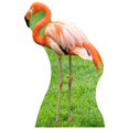 thumbnail image 1 of Star Cutouts SC2095 Flamingo Cardboard Cutout Standup, 1 of 1