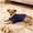 J Dog Sweaters, variant on Dog Sweaters for Small Dogs Girl Boy, Yorkie Sweaters Puppy Doggie Sweater Winter Warm Dog Turtleneck Knitwear Pullover for Chihuahua Fall Winter Cold Weather