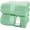 Mint, variant on Bliss Casa 4 Pack 100% Cotton Bath Towels - Ultra Soft & Highly Absorbent Thick Bathroom Towel Set (27 X 54 Inch) Heavy GSM - Durable, Luxurious, Quick-Dry & Long-Lasting Towels for Everyday Use
