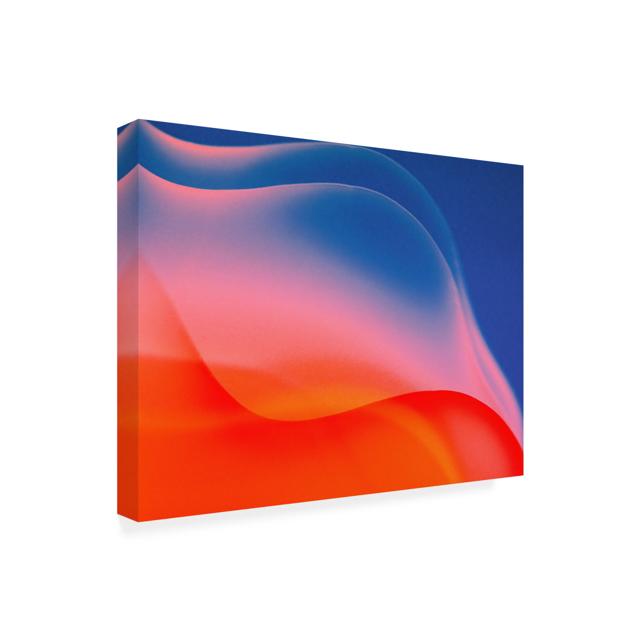 Trademark Fine Art TOSHIO TANEDA Uhufu Canvas Wall Art