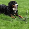 thumbnail image 2 of Lishi Chrome Dog Stake - Heavy-Duty Tie-Out - for Dogs, 2 of 8