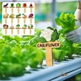 thumbnail image 6 of Upgraded 15PC Wooden Vegetable Plant Label SimpleCartoon Vegetable Pattern With Name P, 6 of 9
