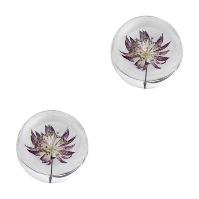 Youkk Decorative Dreamball With Flower Creating Enchanting Atmosphere Resin Gift Astrantia 8cm 2Set