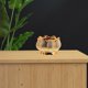 thumbnail image 3 of Ceramic Lotus Flower Incense Burner Golden Incense Holder for Home Use, 3 of 5