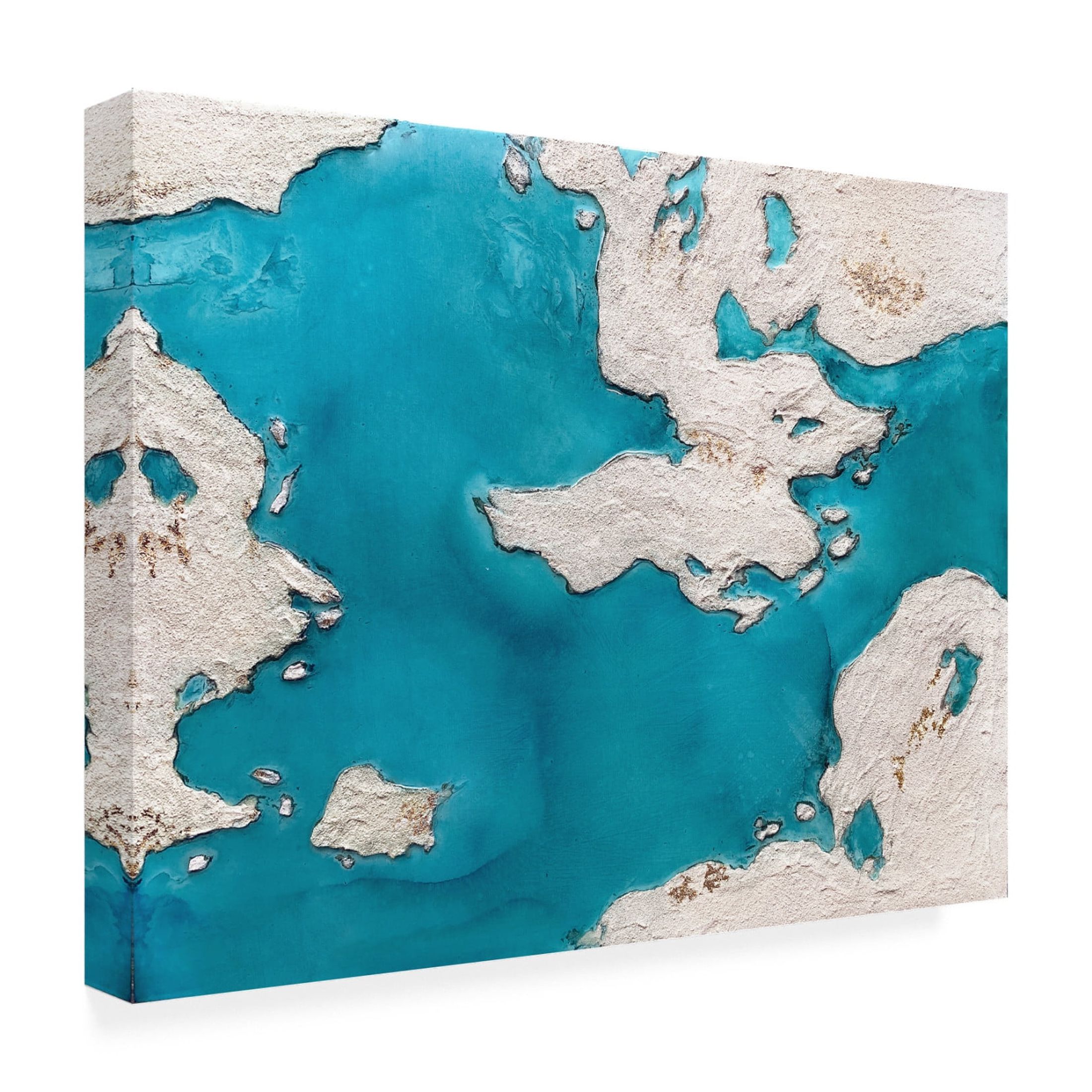 Trademark Fine Art Alyson Storms  Great Barrier Reef Canvas Wall Art