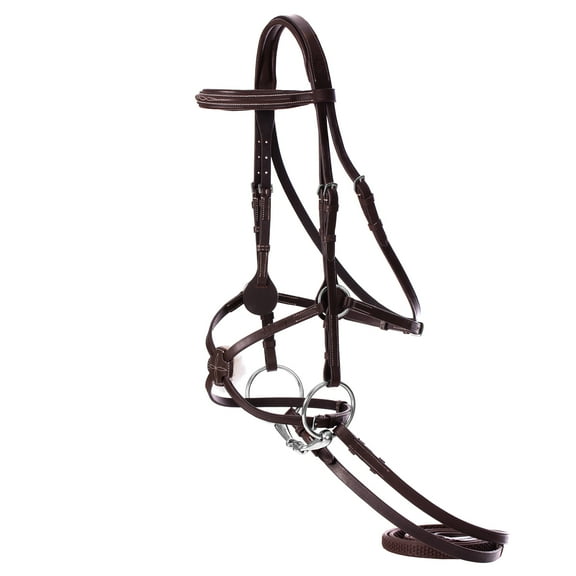Equinavia Saga Adjustable Padded Fancy Stitched Figure 8 Bridle with Reins