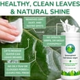 thumbnail image 2 of Leaf Cleaner Wipes for House Plants - Sparkling Leaf Shine for Indoor Plants - Houseplant Resource Center Plant Cleaning Wipes for Leaves - Root and Plant Duster Wipes 30 Count, 2 of 9