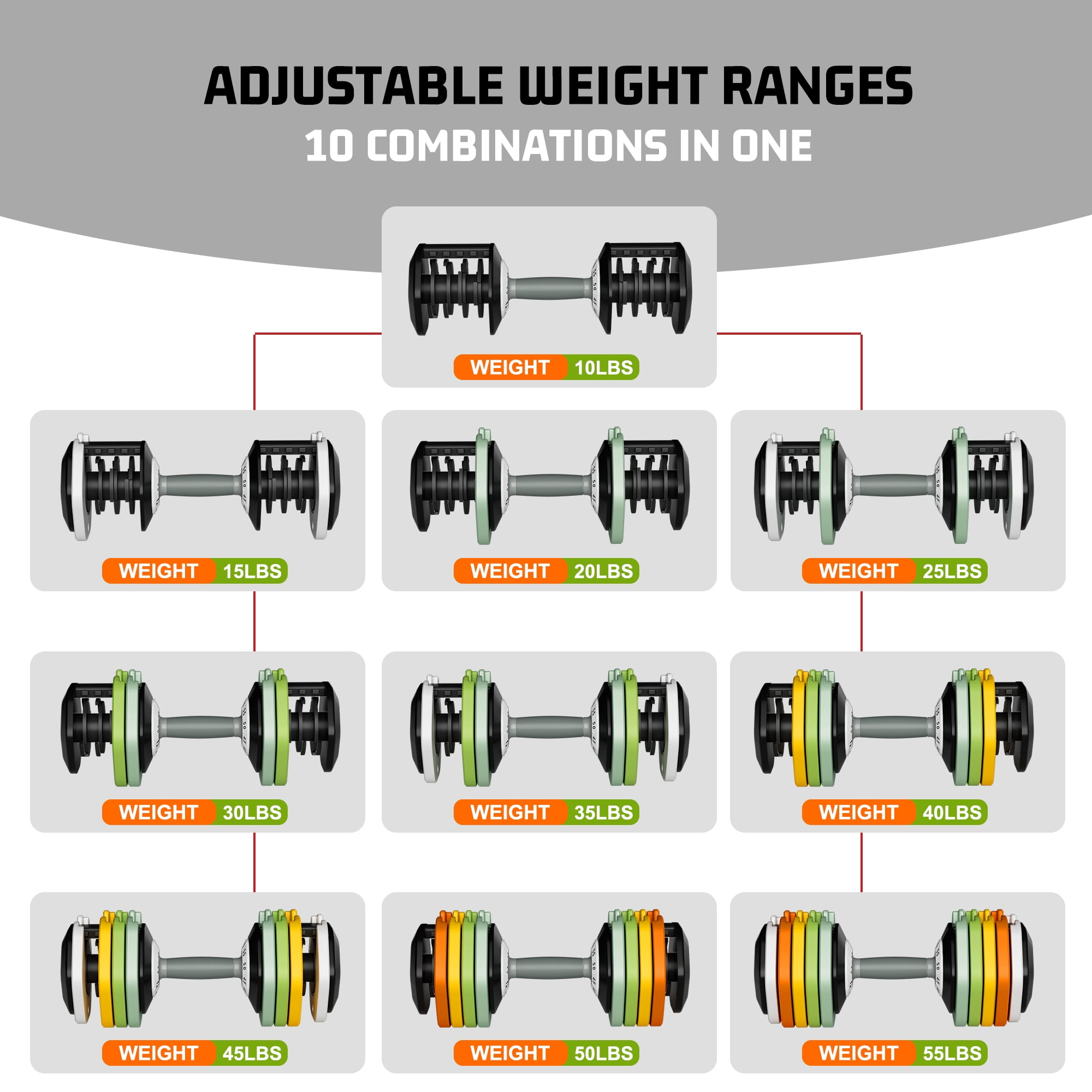 SKOK Adjustable Dumbbell Set 10-55 lbs Pair for Home Gym Fitness Colorful (2 BOX)