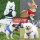 thumbnail image 5 of Conjunto de arnés y correa para perros Chaleco reflectante de malla ajustable para perros p Eccomum Rojo,Pequeña, 5 of 7