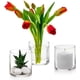 thumbnail image 4 of Rawiri Juego de 3 jarrones cilíndricos de plástico con un diámetro de 8 cm y una altura de 10,5 cm - multiusos: velas de columna, portavelas flotantes o jarrones - muy adecuados como decoración de, 4 of 7