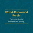 thumbnail image 2 of Host Defense, Reishi Capsules, Supports General Wellness and Vitality, Daily Mushroom Mycelium Supplement, USDA Organic, 30 Vegetarian Capsules (15 Servings), 2 of 9