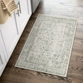 thumbnail image 6 of BERTHMEER 2'x3' Small Area Rugs for indoor Entryway Door Entrance Washable Throw Rugs Non skid, Green, 6 of 6