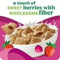 thumbnail image 5 of Kashi Breakfast Cereal, Organic, Fiber Cereal, Berry Fruitful, 17.2oz Box, 5 of 5
