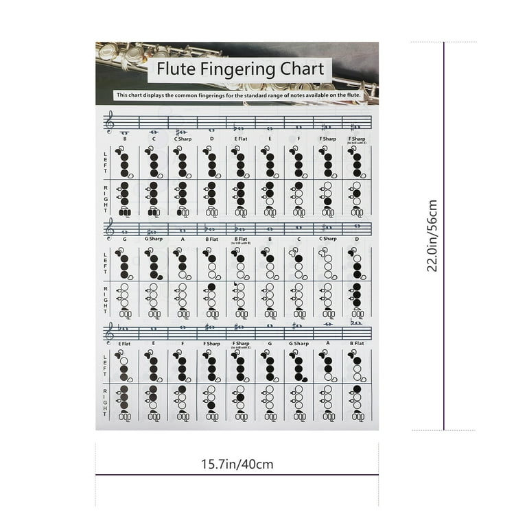 Basic flute sale for beginners