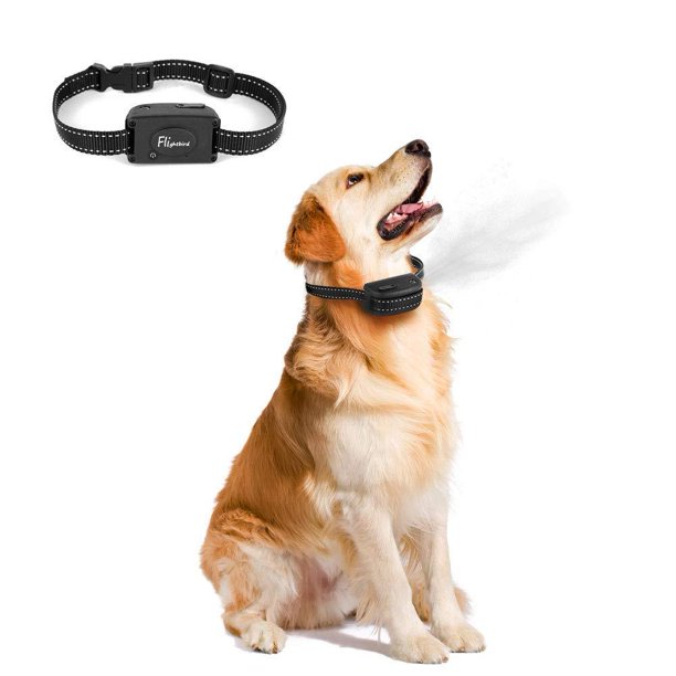 Dog collar clearance that sprays water