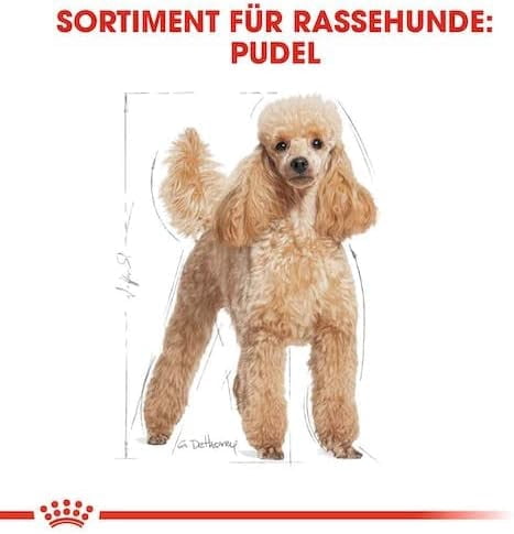 Royal Canin Poodle Dog Wet Food 12x85g