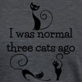 thumbnail image 3 of CafePress - Three Cats Ago Humorous T Shirt - Womens Tri-blend T-Shirt, 3 of 4