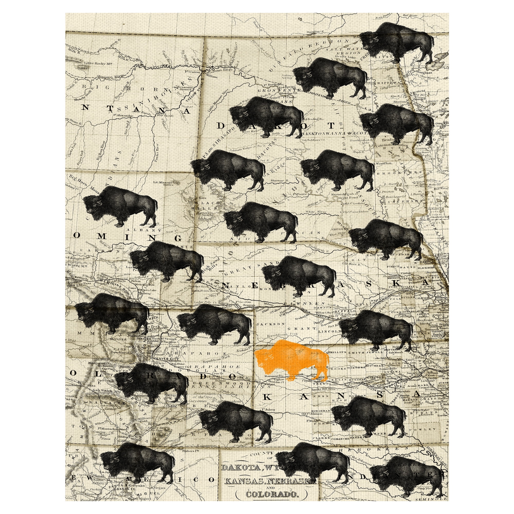 Masterpiece Art Gallery Where The Buffalo Roam Midwest Map By GI ArtLab