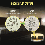 Aspectek Sticky Dome Flea and Bed Bug Trap, 2 Glue Discs, 1-Pack