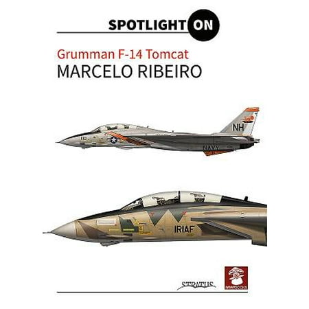 F-14 Super Tomcat - Grumman F-14 Tomcat