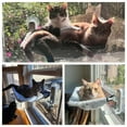 thumbnail image 3 of POMESEA Foldable Cordless Cat Window Perch,Cat Hammock with 4 Strong Suction Cups,Solid Metal Frame-Space Saving Window Mounted Cat Seat for Large Cats and Kitten,L, 3 of 10