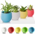 thumbnail image 1 of Colorful 7*6.5cm Round Plastic Flower Pot Plant Planter Garden Home Office Decor, 1 of 5