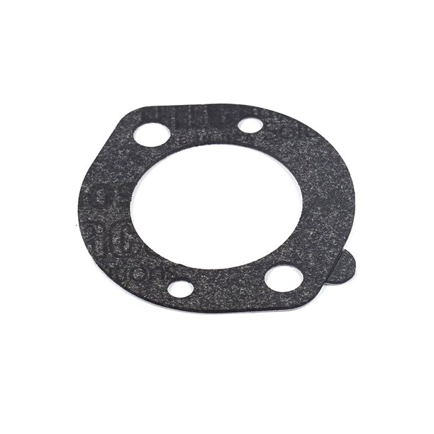 Briggs & Stratton 696024 Air Cleaner Gasket