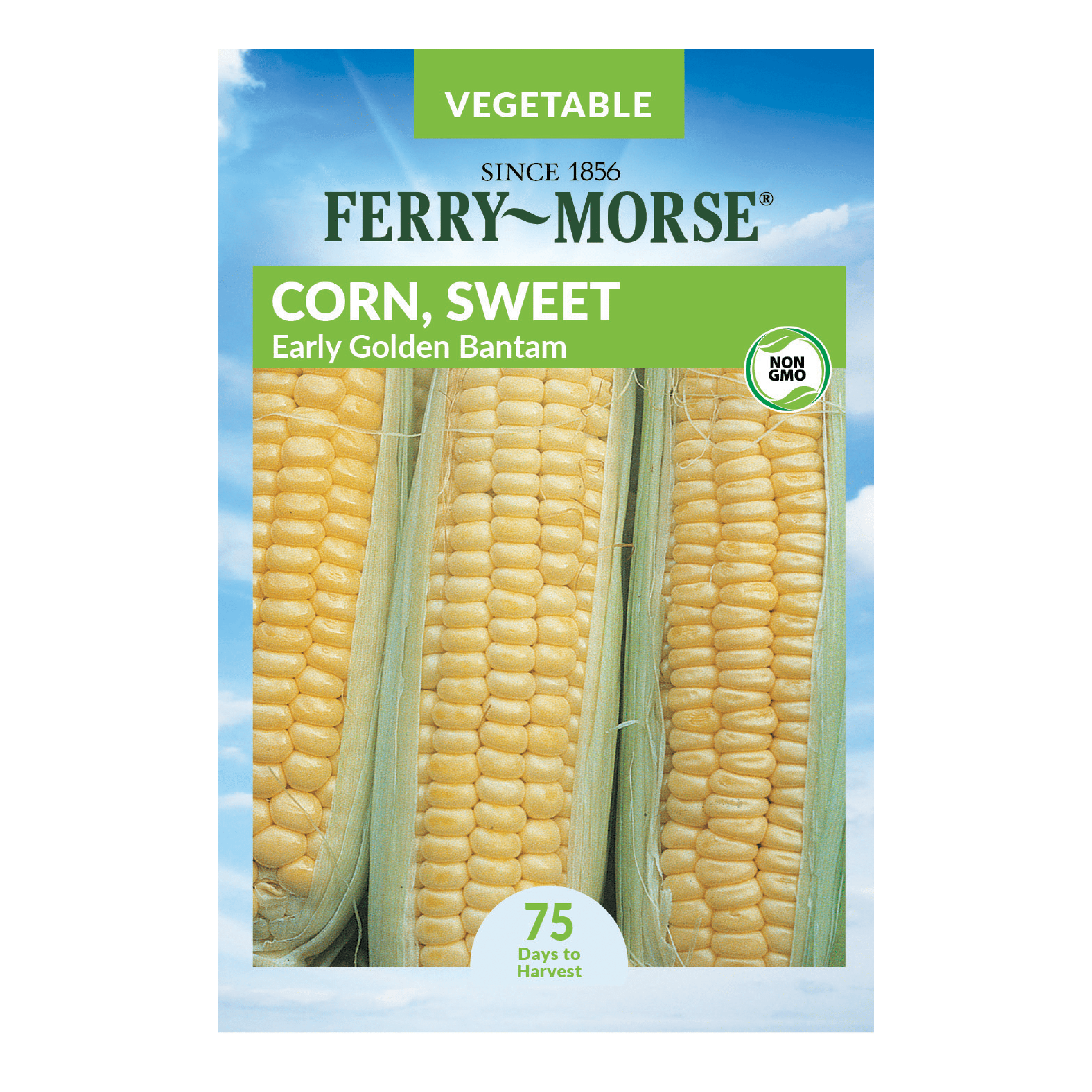Ferry Morse Early Golden Bantam Sweet Corn Seeds Since 1856 Non Gmo Guaranteed Fresh Vegetable Gardening Seeds Walmart Com