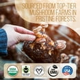 thumbnail image 4 of La Republica Ground Mushroom Coffee, Organic & Fair Trade Arabica with 7 Superfood Shrooms Full Fruiting Bodies, Lion's Mane, Reishi, Chaga, Cordyceps, Turkey Tail, (Medium Roast, 60 Servings), 4 of 7