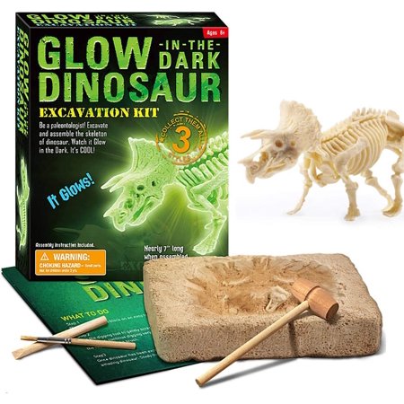 Kit de fouille de fossile de Dinosaure - Squelette Lumineux avec kit de fouille Interne, Cadeau Kit de fouille de fossile de Dinosaure - Squelette Lumineux avec kit de fouille Interne, Cadeau