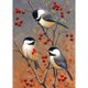 thumbnail image 1 of Taladro diamante pintura (DF3341) 5D DIY completo primavera pájaros punto de cruz bordado Kit 20X30cm Hugtrwg Para estrenar, 1 of 1