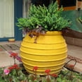 thumbnail image 4 of SHZHHFKJCX Amazon‘s Top Picks for Adding Elegance and Color to Your Living Space. Make a Stylish Statement with These Vibrant Home Decor Items. Infuse your Home with Personality and Style, 4 of 7
