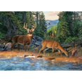 thumbnail image 2 of Cobble Hill 1000 Piece Puzzle: The River's Edge - Reference Poster Included, High Quality Jigsaw, Earth Friendly, 2 of 7