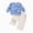A123-Blue, variant on Caqnni 2-3 Years Baby Toddler Girl 2 Pieces Set Outfits Long Sleeved Tops and Pants Fall Winter Clothes 0 6 12 18 24 Months 2T 3T 4T 2 PC Playwear Set A123-Purple
