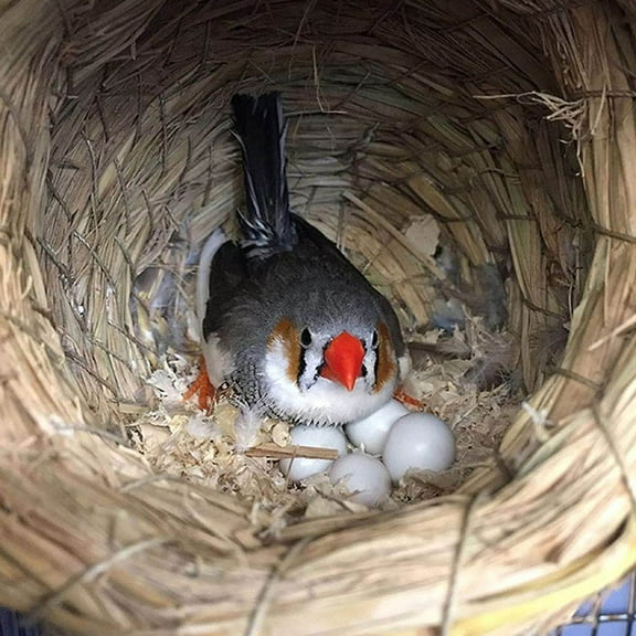 Hemobllo 12Pcs White Wear Resistant Simulated Eggs for Party Household Decoration