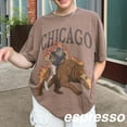 thumbnail image 5 of Vintage Chicago Football Shirt, Comfort Colors Bears Tee, Retro Game Day Fan T-Shirt, 5 of 8