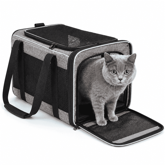 CANTAPVA Pet Carrier for Cats and Small Dogs, Breathable Mesh Travel Bag with Shoulder Strap, Soft-Sided Handheld Pet Tote for Vet Visits, Air Travel & Hiking